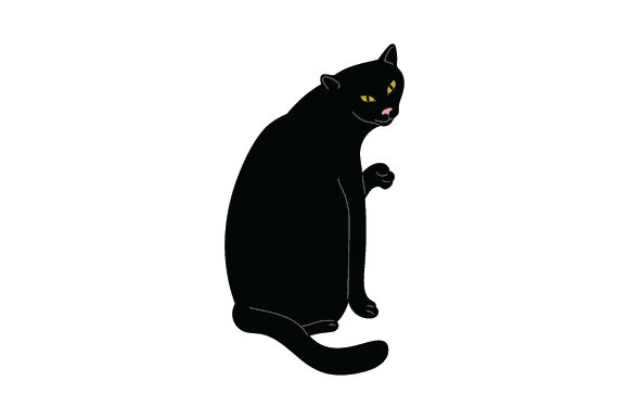 Retro Japanese Black Cat Embroidery Review